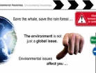 Click to see a preview of environmental e-Learning developed in Flash.  Click launch below to see the demo.